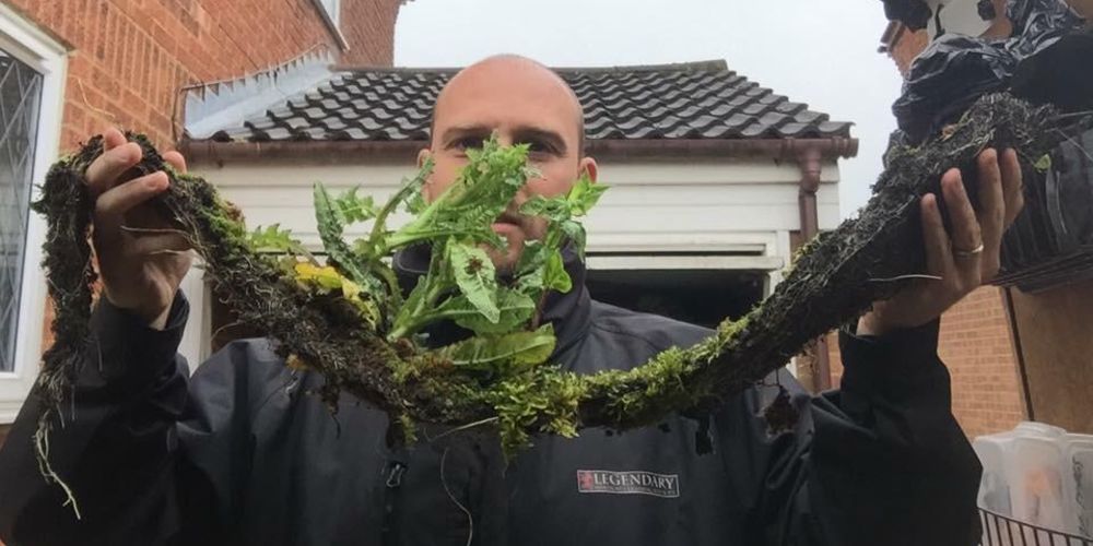 gutter cleaner near me